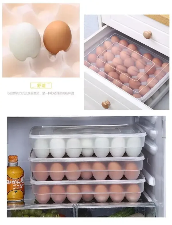 34 Grids Plastic Egg Storage Box